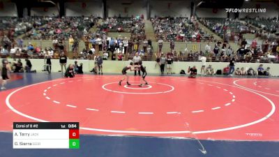 57 lbs Consi Of 8 #2 - Anderson Terry, Jackson County Wrestling Club vs Damien Sierra, Georgia