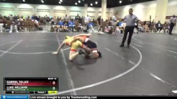 113 lbs Round 4 (8 Team) - Gabriel Tellez, Southside Mafia vs Luke Williams, Backyard Boyz Blue