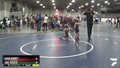 43 lbs Cons. Round 3 - Liam Jostock, Lapeer Lightning WC vs Lucas Babbitt, Grayling Grapplers