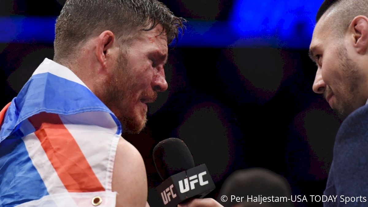 Michael Bisping Faces Luke Rockhold at UFC 199