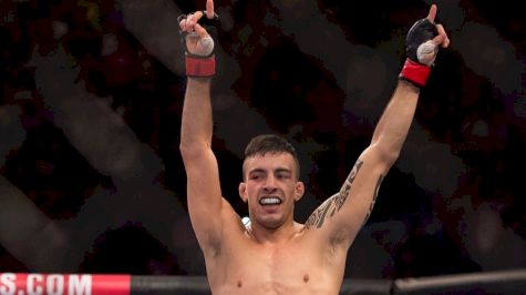 UFC Bantamweight Division on the Rise