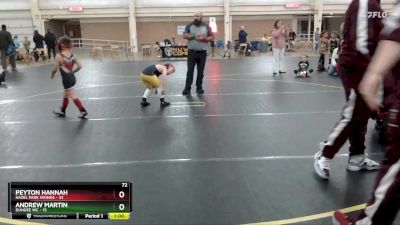 72 lbs Round 5 (6 Team) - Andrew Martin, Dundee WC vs Peyton Hannah, Hazel Park Vikings