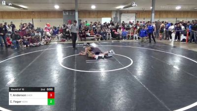 I 136 lbs Round Of 16 - Trenton Anderson, Sherburne vs Cade Feger, Herndon