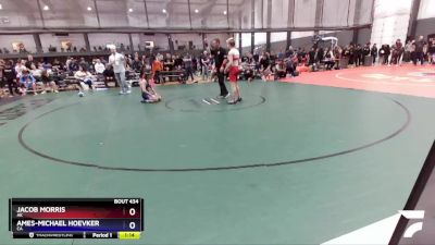 138 lbs Quarterfinal - Jacob Morris, AK vs Ames-Michael Hoevker, CA