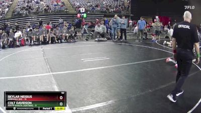 65 lbs Finals (8 Team) - Colt Davidson, South Dakota Lightning vs Skylar Neisius, Nebraska Red