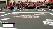 Théo Freitas vs Felipe Povoas 2024 ADCC Sao Paulo Open