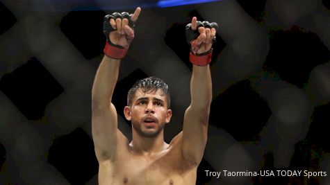 Yair Rodriguez