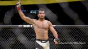 Gegard Mousasi