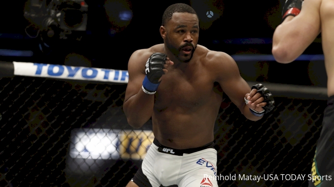 picture of Rashad Evans