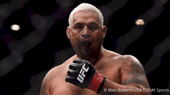 picture of Mark Hunt