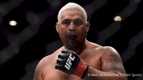 Mark Hunt