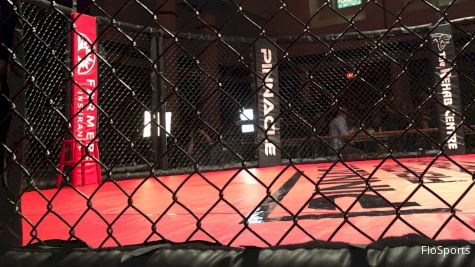 Pinnacle Fighting Championships 14 Results: Dominic Mazzotta, Cherico Shine