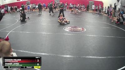 61 lbs Round 1 - Tanner James, Palmetto State Wrestling vs Hudson Fielder, Backyard Brawlers