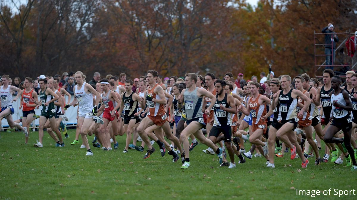 Full Breakdown of the NCAA Cross Country Qualifying System