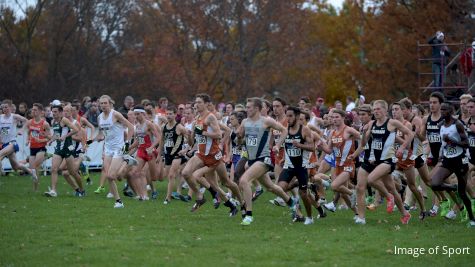 Full Breakdown of the NCAA Cross Country Qualifying System