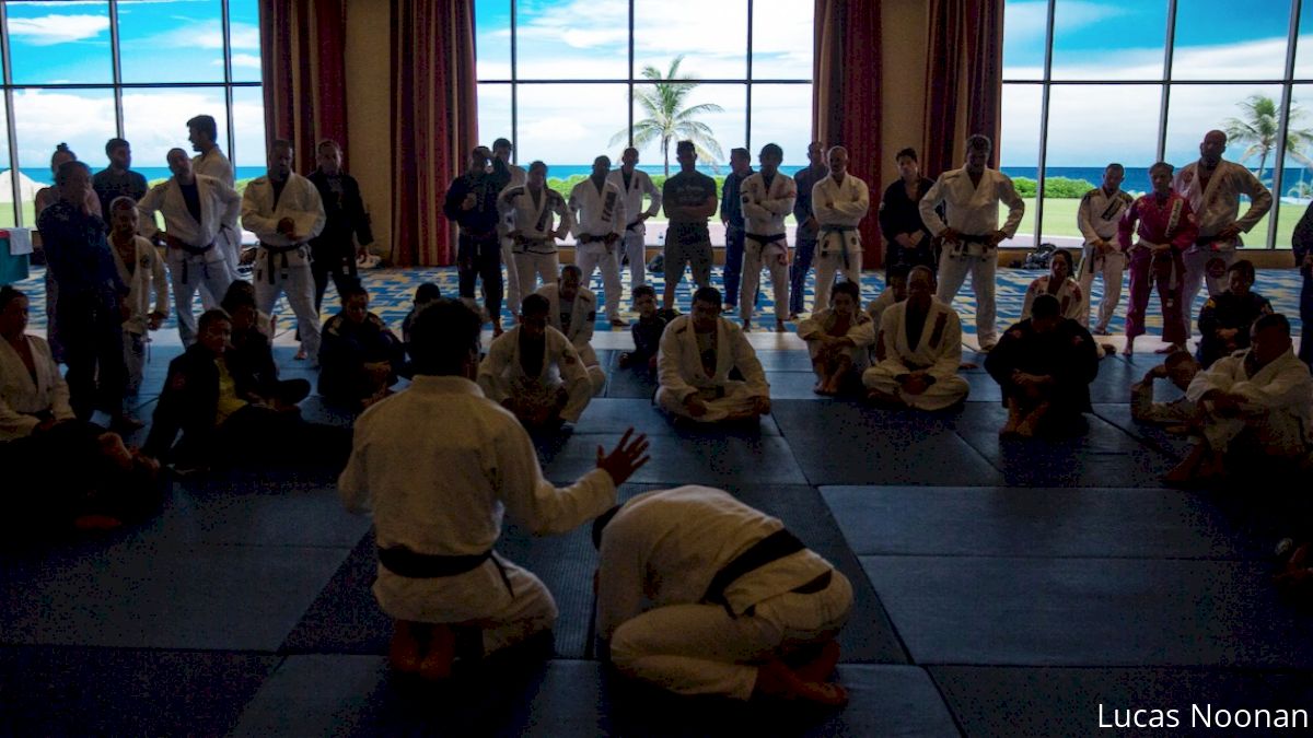 Gracie Adventure Camp Review: Jiu-Jitsu Paradise