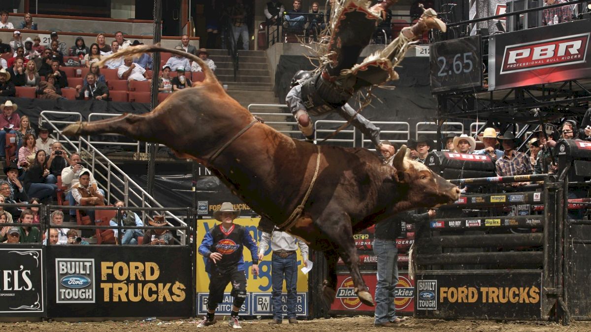 Man vs. Beast: PBR Finals Right Around the Corner