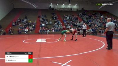 133 lbs Quarterfinal - Anthony Cefolo, Rider University vs Trevor Mello, George Mason University