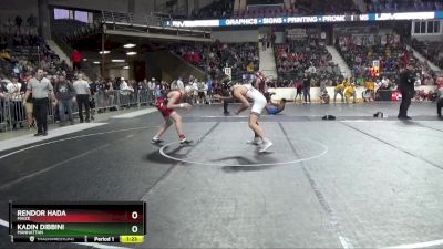 165 lbs Quarterfinal - Rendor Hada, Maize vs Kadin Dibbini, Manhattan