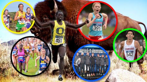 ON THE RUN: NCAA XC Regional Chaos | Ep.45