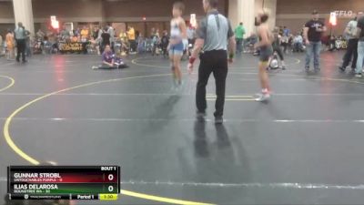 100 lbs Quarterfinals (8 Team) - Ilias Delarosa, Roundtree WA vs Gunnar Strobl, Untouchables Purple