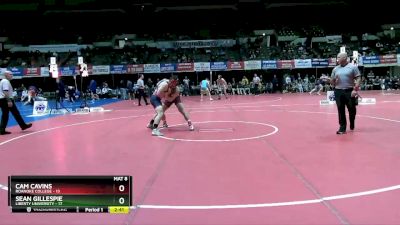 197 lbs Semis (4 Team) - Cam Cavins, Roanoke College vs Sean Gillespie, Liberty University