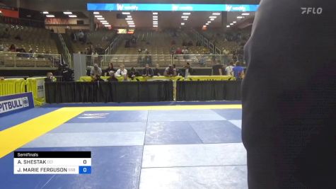 ANNA SHESTAK vs JULIE MARIE FERGUSON 2024 Pan Jiu Jitsu IBJJF Championship