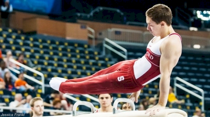 Stanford pommel flash ncaa men's.jpg
