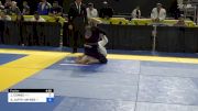 JAN COMBS vs ALLISON JAFFE HAYNES 2024 Pan Jiu Jitsu IBJJF Championship