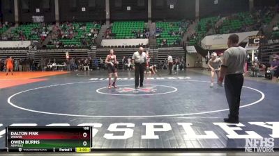 106 lbs Semifinal - Owen Burns, Ashville vs Dalton Fink, Weaver