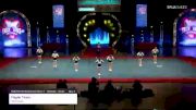 Flagler Titans - Youth Cheer [2021 Sideline Performance Cheer 1 - Peewee - Small Day 3] 2021 Pop Warner National Cheer & Dance Championship