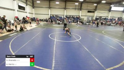 65 lbs Semifinal - Andrew Alvarado, Desert Dogs WC vs Asher Harris, Illinois Valley YW