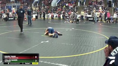 77 lbs Quarterfinal - Collin Baker, Fruitport vs Gavin Tamm, Hazel Park Wrestling