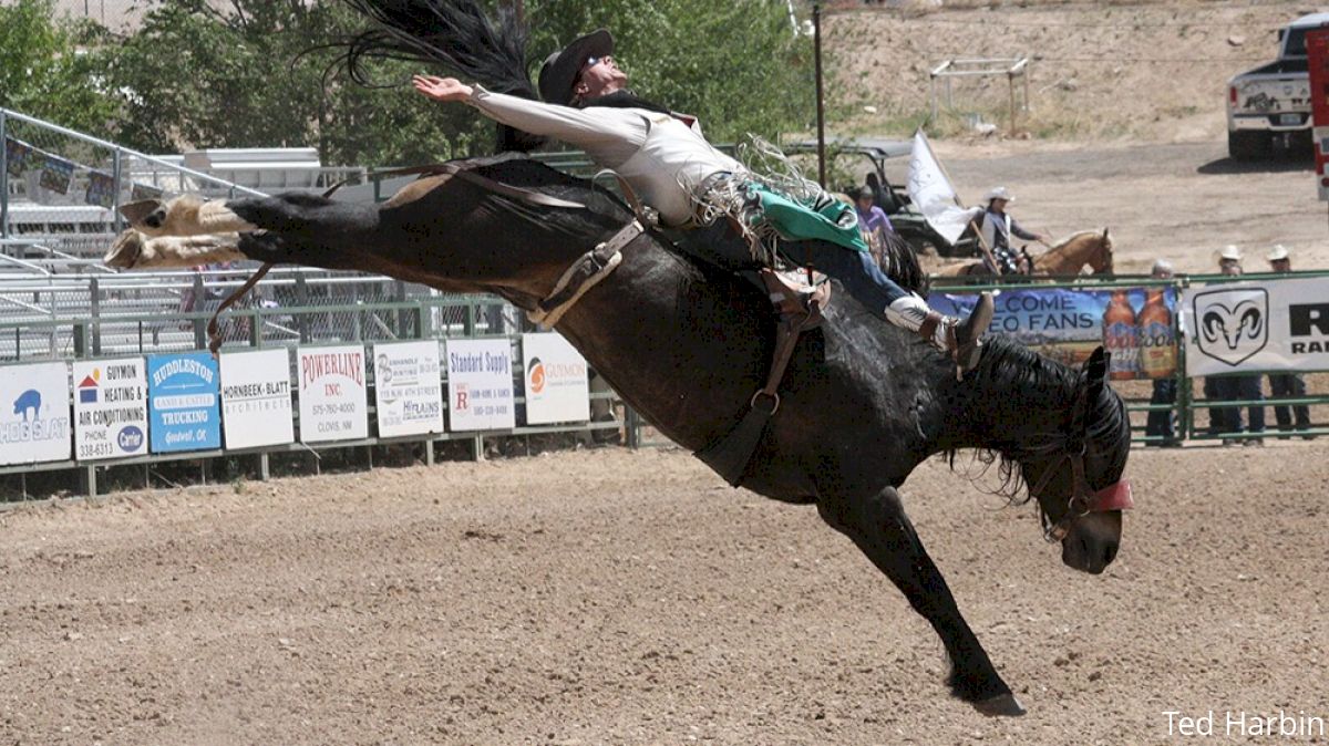 Healthy Laye Sets Sights On Fort Worth Stock Show & Rodeo Title