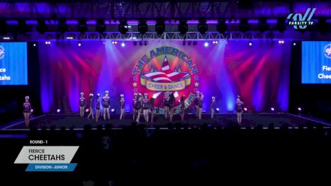 Fierce - Cheetahs [2024 L2 Junior 1] 2024 The American Showcase DI & DII