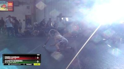 100 lbs Round 1 - Owen Hannah, Diamond Fish vs Kamdyn Borrero, PA Alliance White