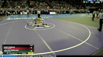 3rd Place Match - Westin Sherlock, Lincoln East vs Alex Dzingle, Grand Island