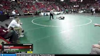 D2-132 lbs Quarterfinal - Tanner Andersen, Gale-Ett.-Tr./Mel.-Min. vs Brody Hart, Winneconne