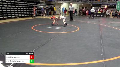 60 lbs Consi Of 32 #2 - Alex Haines, Mountain View vs Lincoln Scicchitano, Shamokin