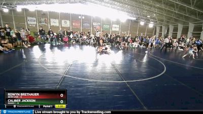 49 lbs Quarters & Wb (16 Team) - Caliber Jackson, Idaho 1 vs Rowyn Brethauer, Bear Cave