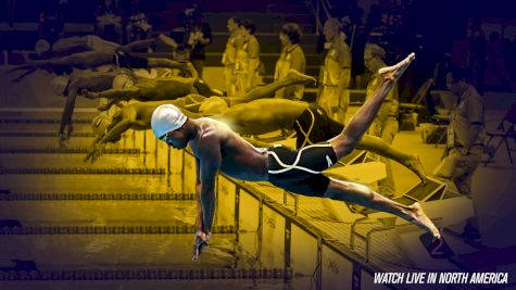 2017 CARIFTA Swimming Championships