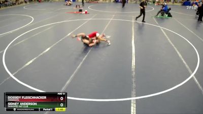 132 lbs Champ. Round 2 - Sidney Anderson, Shakopee Mat Club vs Dossidy Fleischhacker, Minnesota