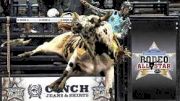 2017 Rodeo All Star