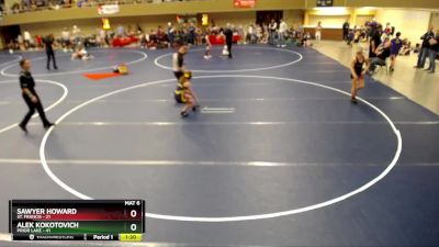 100 lbs Semis & 1st Wrestleback (8 Team) - Garrett Blaser, St. Francis vs Ava Pannkuk, Prior Lake