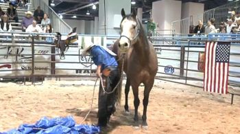 2016 Colt Starting Challenge USA Day 2