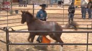 2016 Colt Starting Challenge USA Day 1