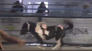 JrNFR Bareback Day 2