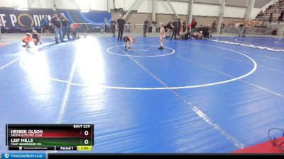 49 lbs Cons. Semi - Henrik Olson, Salem Elite Mat Club vs Leif Mills, Team Aggression WC