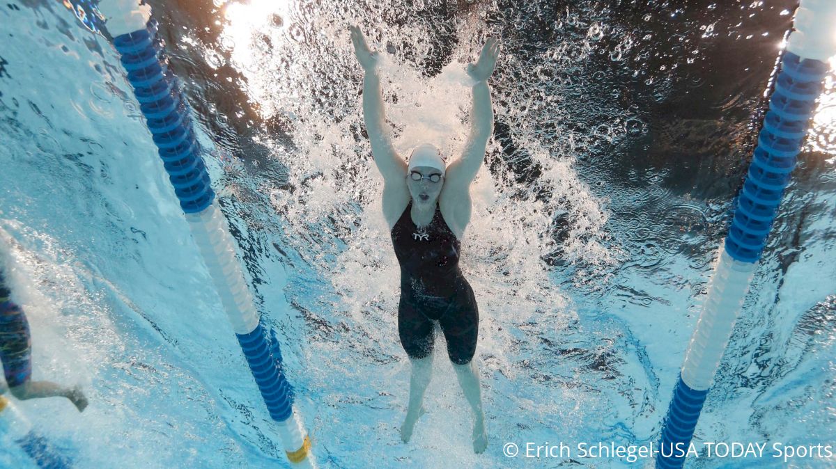 Can A Flamingo Fly? How To Create & Maintain Speed In Breaststroke