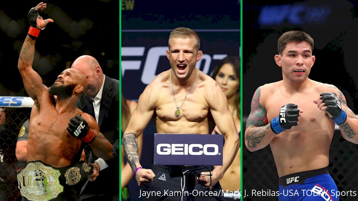 TJ Dillashaw, Ray Borg: Who Should UFC Champ Demetrious Johnson Face Next?